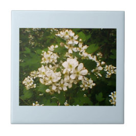 Blackberry Bloom Kakelplatta