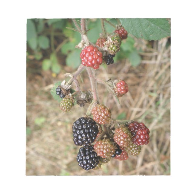 Blackberry Bonanza Anteckningsblock (Framsida)
