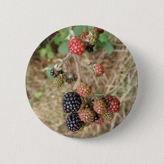 Blackberry Bonanza Button Knapp (Framsida)