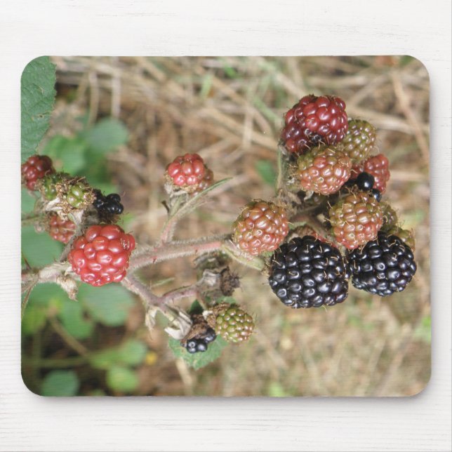 Blackberry Bonanza Mousepad Musmatta (Framsidan)