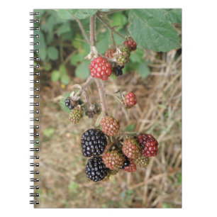 Blackberry Bonanza Notebook Anteckningsbok