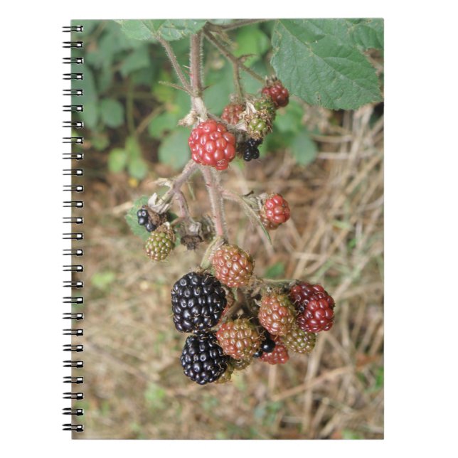 Blackberry Bonanza Notebook Anteckningsbok (Framsidan)