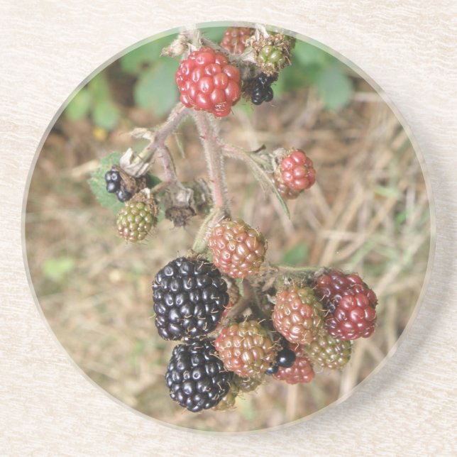 Blackberry Bonanza Underläggs Underlägg (Framsidan)
