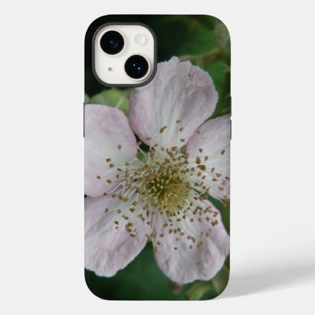 Blackberry Flower Macro (Baksida)