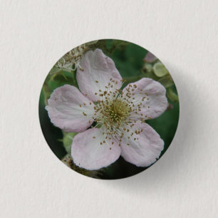 Blackberry Flower Makro Button Knapp