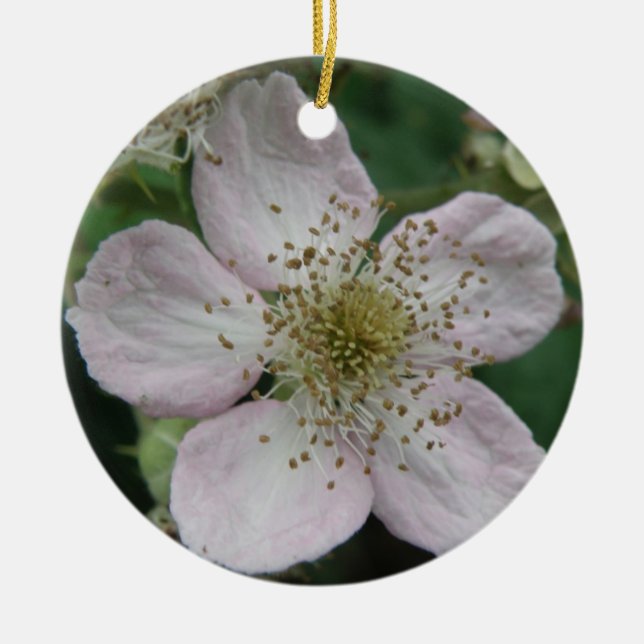 Blackberry Flower Makro Ornaments Julgransprydnad Keramik (Framsidan)