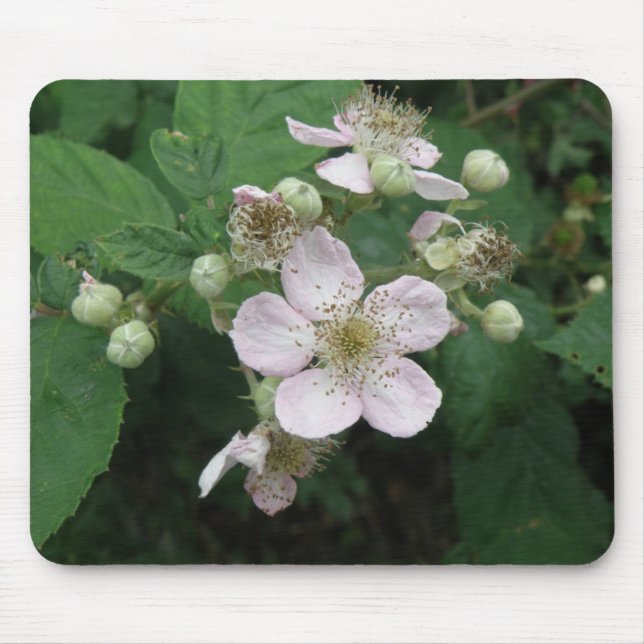 Blackberry Flowers Mousepad Musmatta (Framsidan)