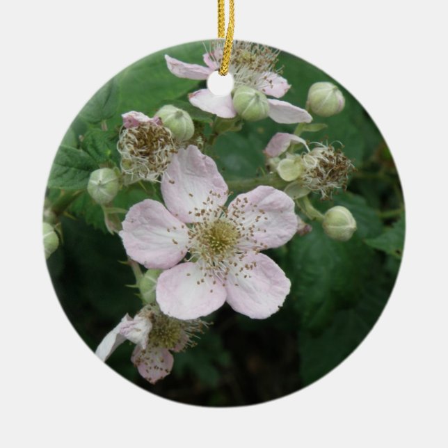 Blackberry Flowers Ornaments Julgransprydnad Keramik (Framsidan)