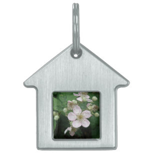 Blackberry Flowers Pet Tag ID-bricka Husdjur