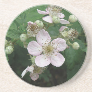 Blackberry Flowers Underlägg Sandsten
