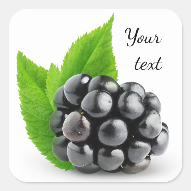 Blackberry Fyrkantigt Klistermärke (Framsida)