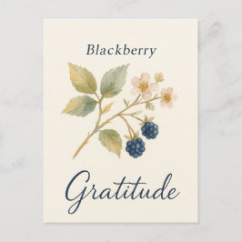 Blackberry — Gratitude Postcard Vykort