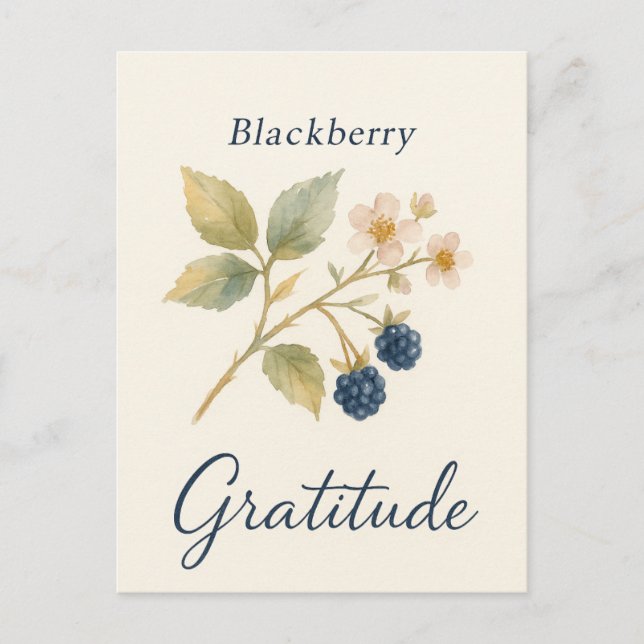 Blackberry — Gratitude Postcard Vykort (Framsida)
