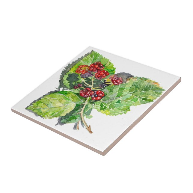 BlackBerry Kakelplatta (Sidan)