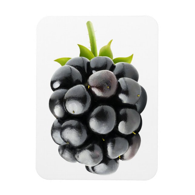 Blackberry Magnet (Vertikal)