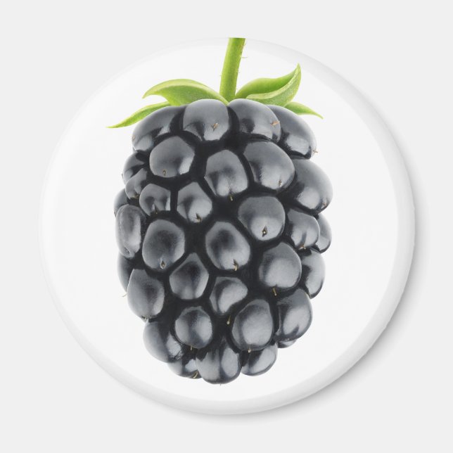 Blackberry Magnet (Framsidan)