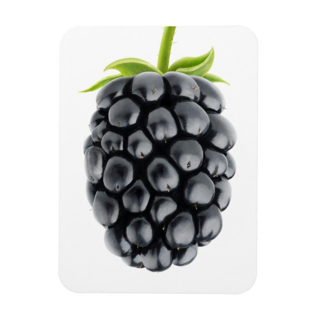 Blackberry Magnet (Vertikal)