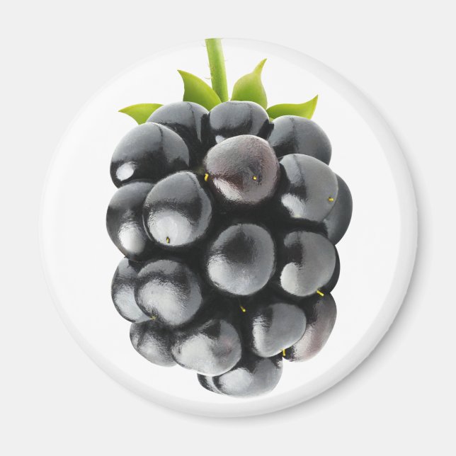 Blackberry Magnet (Framsidan)