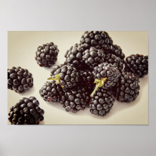 Blackberry Photo. Köp nu Poster