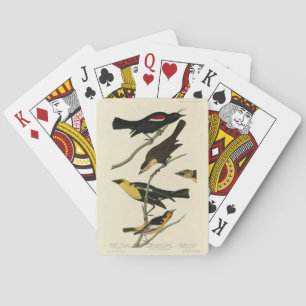 Blackbird and Oriole, Audubon's Birds of America Casinokort