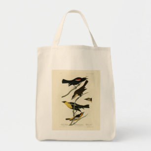 Blackbird and Oriole, Audubon's Birds of America Tygkasse