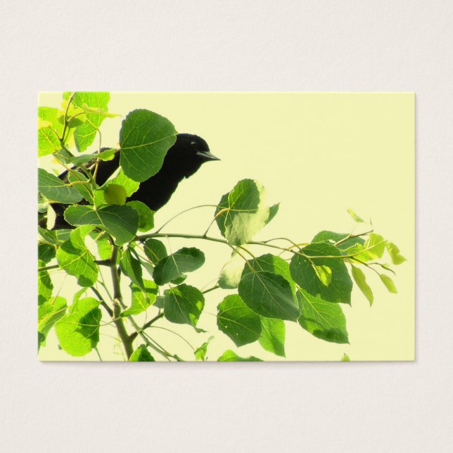 Blackbird ATC Visitkort (Framsidan)