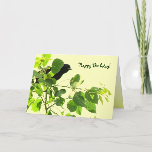Blackbird Birthday Kort (Framsida)