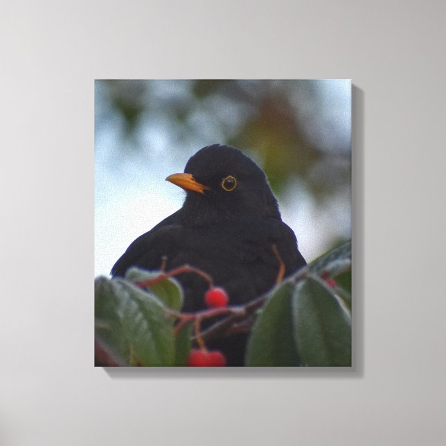 Blackbird Canvastryck (Framsida)