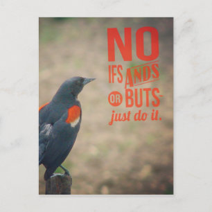 Blackbird Encouragement Vykort