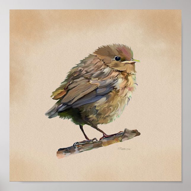 Blackbird Fledgling` Poster (Framsidan)