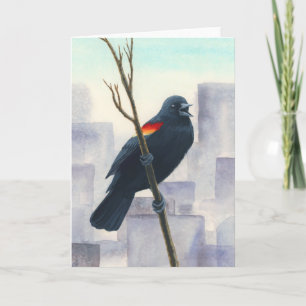Blackbird Kort