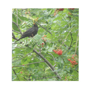 Blackbird och Berries Anteckningsblock