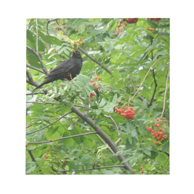Blackbird och Berries Anteckningsblock (Framsida)