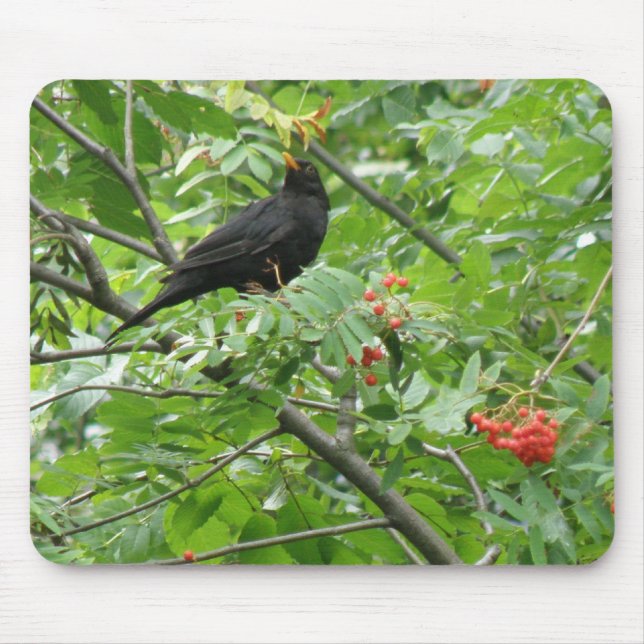 Blackbird och Berries Mousepad Musmatta (Framsidan)