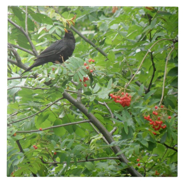 Blackbird och Berries Tile Kakelplatta (Framsidan)