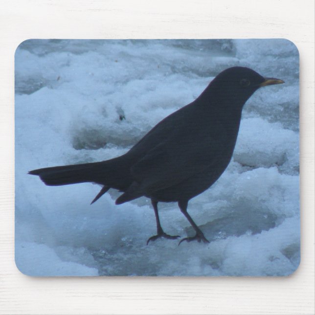 Blackbird på isen Mousepad Musmatta (Framsidan)
