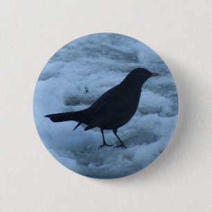 Blackbird på isknapp knapp