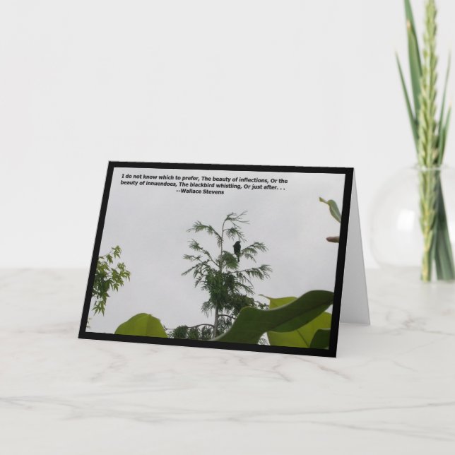 Blackbird Quote Kort (Framsida)