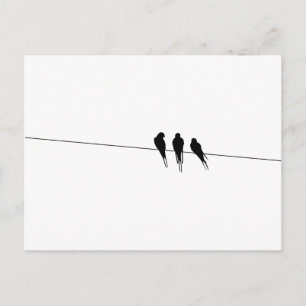 Blackbird Silhouette på Wire Vykort