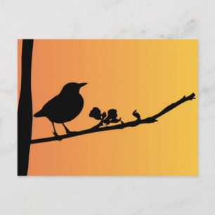 Blackbird Silhouette Vykort