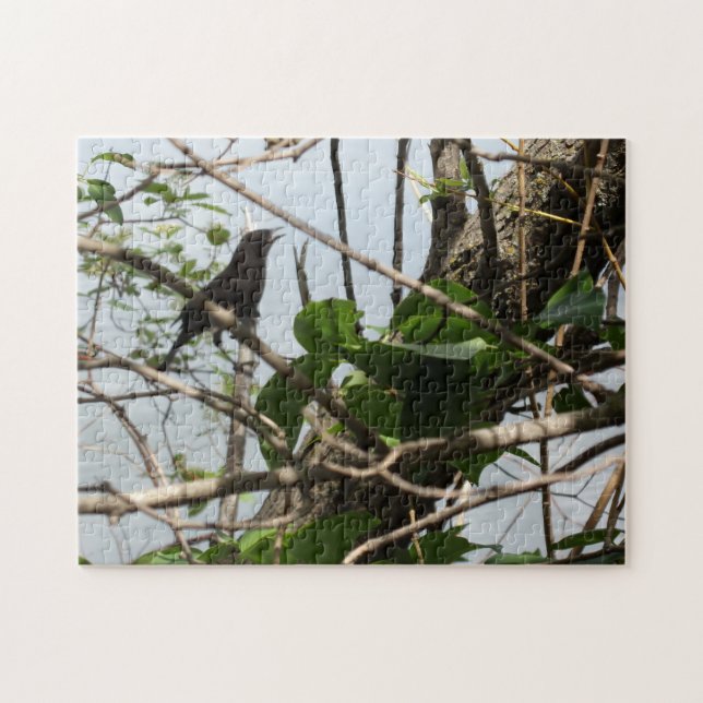 Blackbird Singing Jigszle Puzzle Pussel (Horisontell)