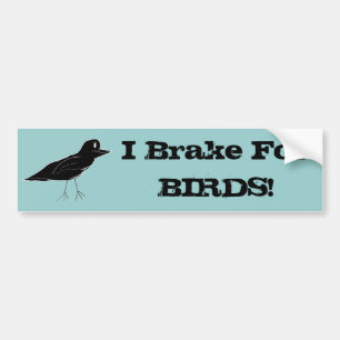 Blackbird, "som jag bromsar för FÅGLAR!", Bildek Bildekal