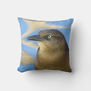 Blackbird Stare Photo med Blue Vatten Natature Kudde
