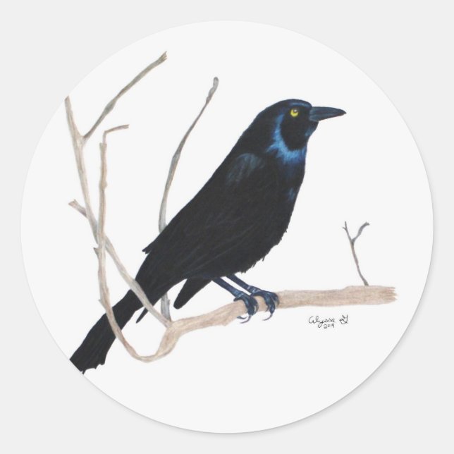 Blackbird Sticker Runt Klistermärke (Framsida)