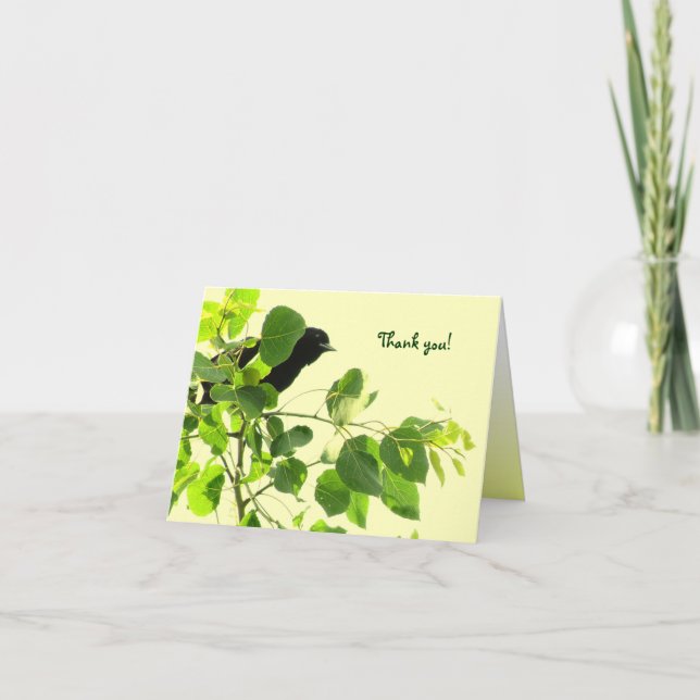 Blackbird Tack Kort (Framsida)