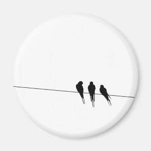 Blackbirds Silhouette binder på Magnet