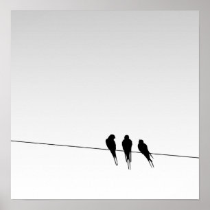 Blackbirds Silhouette binder på på lutninghimmel Poster