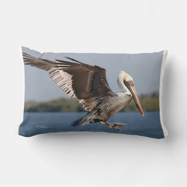 Bläckbrun pelican MoJo Pillow Lumbarkudde (Framsida)