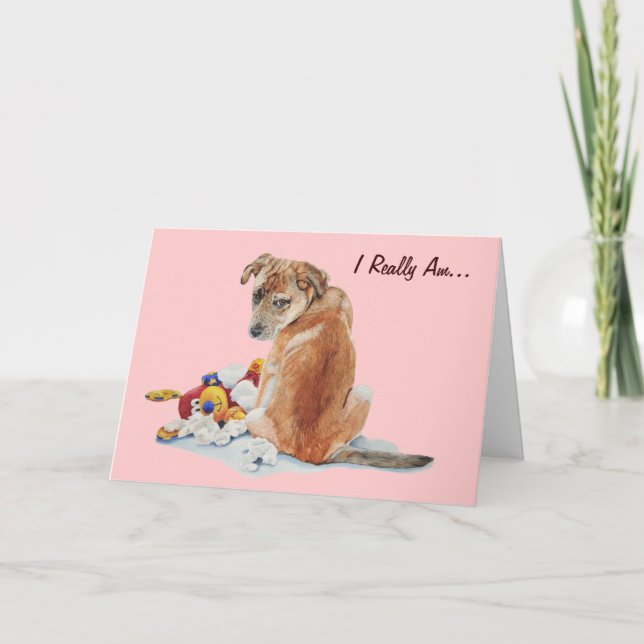 Bläckbrun valp med teddy hund tittar ledsen kort (Framsida)