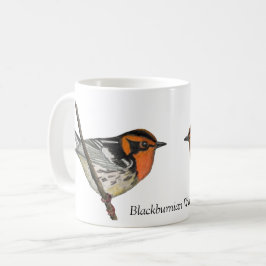 Blackburnian Warbler White Coffee Kopp